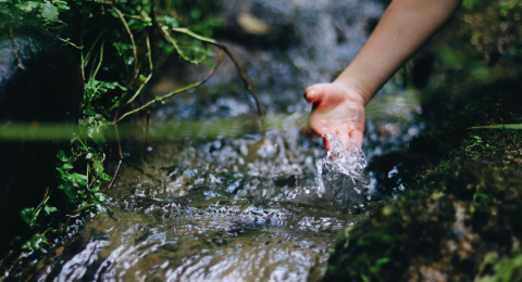 Foto van hand in water