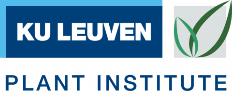 lpi