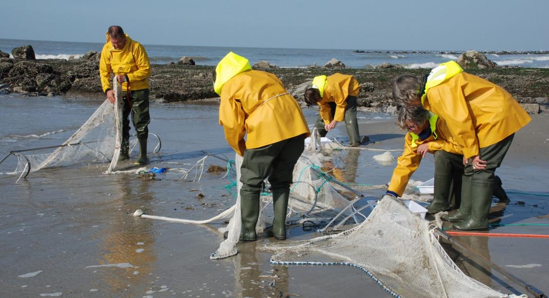 Seawatchers aan het werk