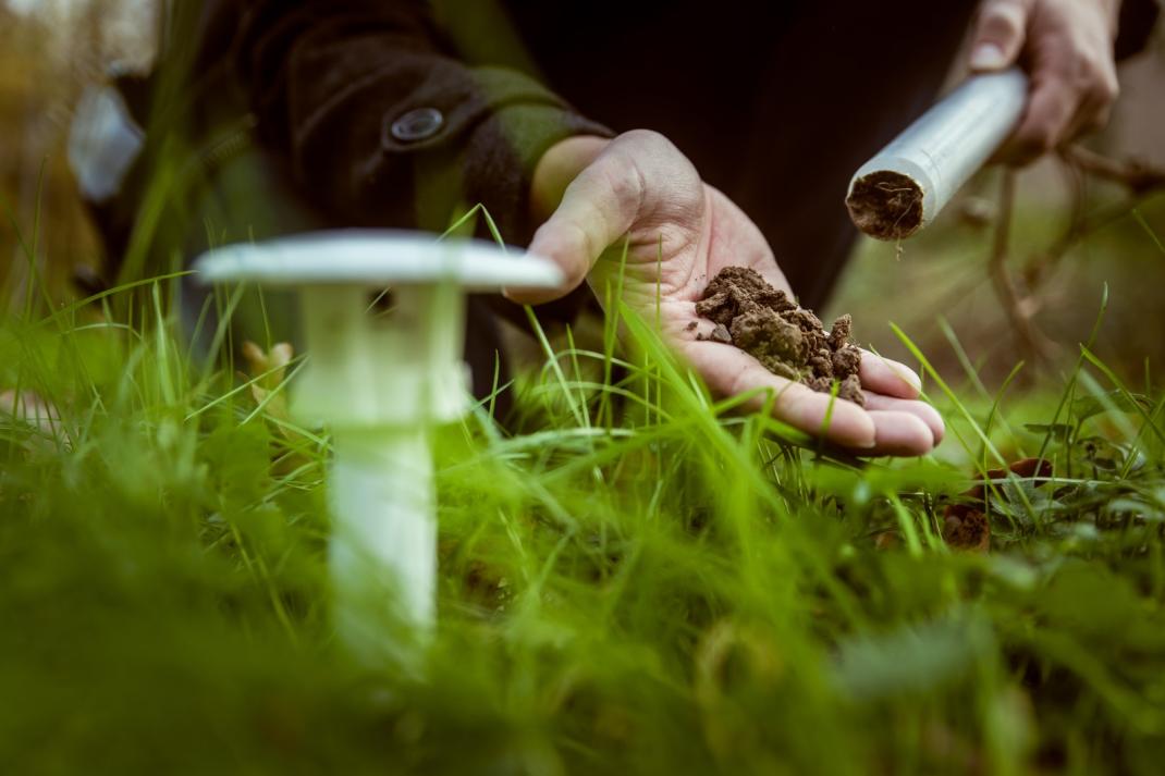 Curieuzeneuzen in de tuin