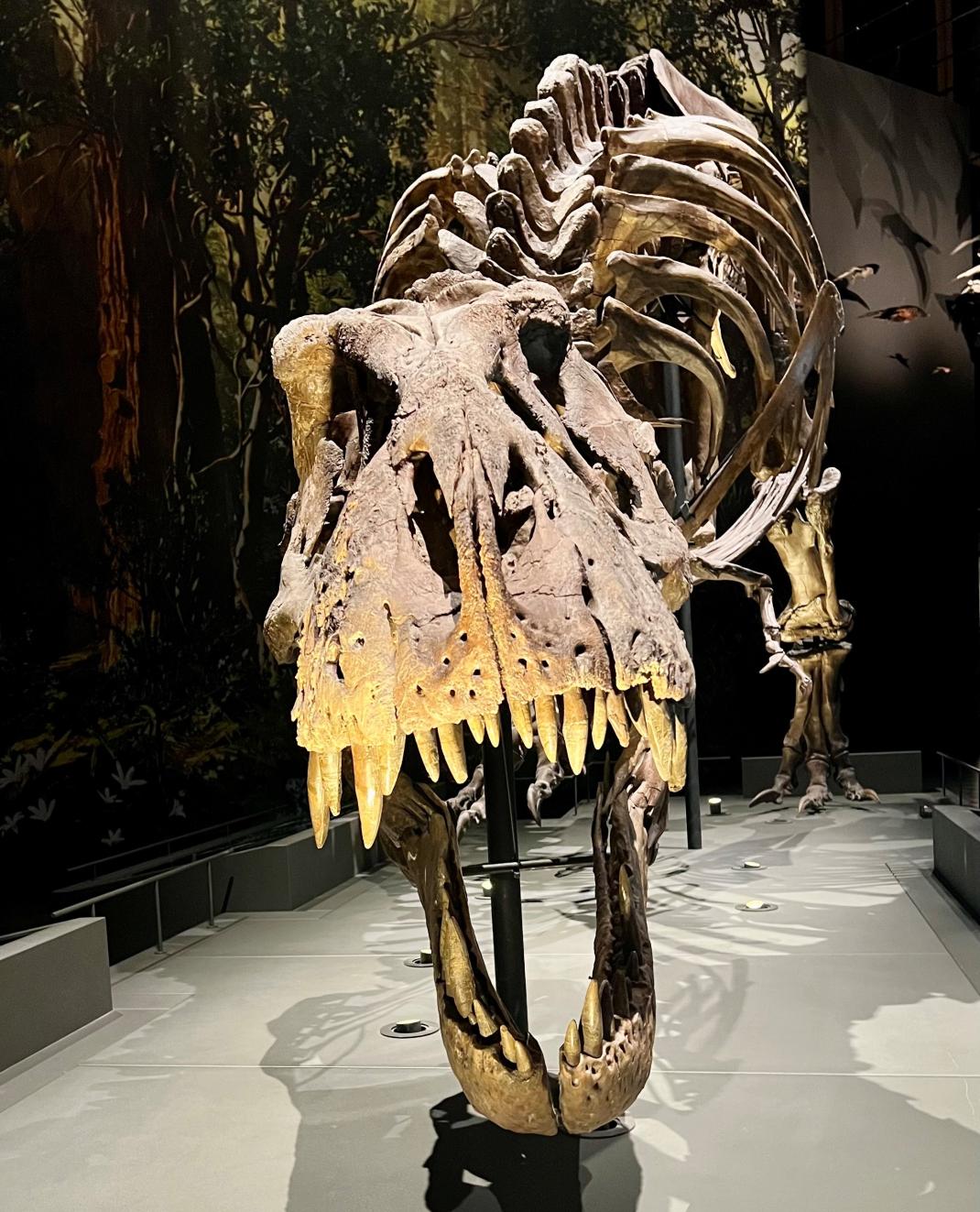 Scivil bezoekt Naturalis Biodiversity Center