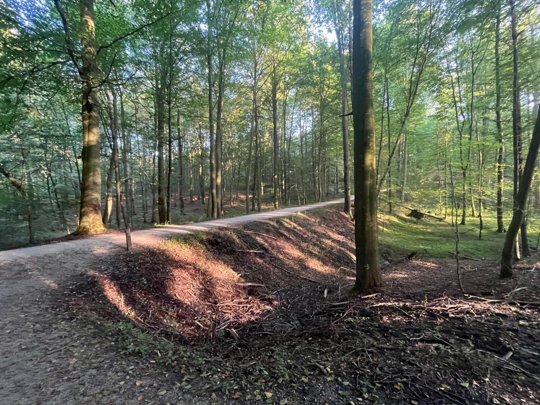 Lorreinendreef te Sint-Genesius-Rode