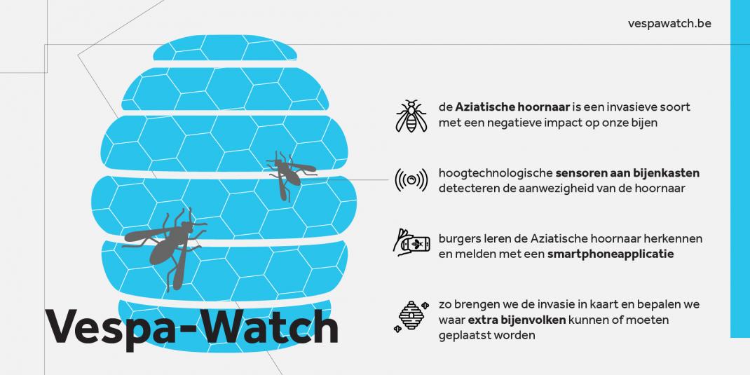 Vespa-watch infographic