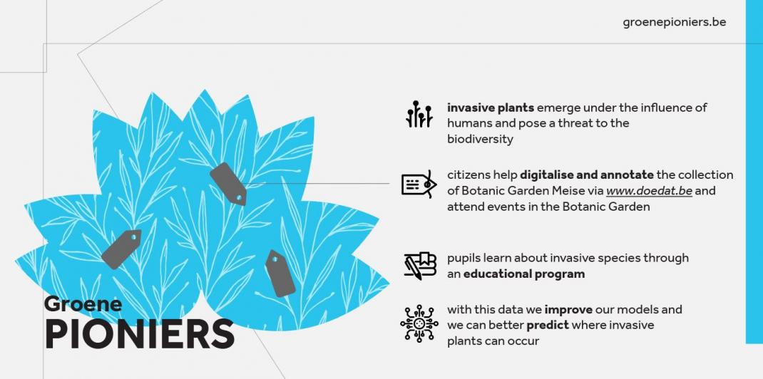 Groene Pioniers infographic