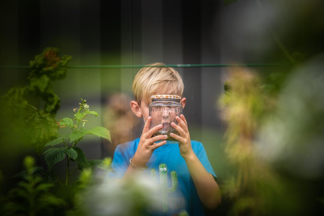 Kind bestudeert insecten in een bokaal