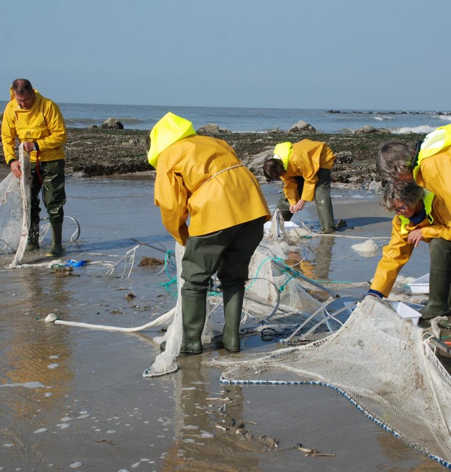 Seawatchers aan het werk